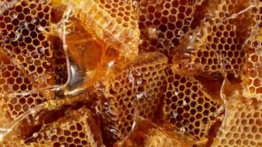 Balla bal sıçratmanın süper yavaş çekimi, üst manzara. Yüksek hızlı sinema kamerası, 1000 fps..