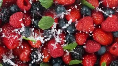 Su sıçratan böğürtlenlerin süper yavaş çekimi, üst manzara. Yüksek hızlı sinema kamerası, 1000 fps..