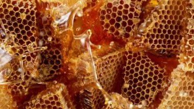 Balla bal sıçratmanın süper yavaş çekimi, üst manzara. Yüksek hızlı sinema kamerası, 1000 fps..