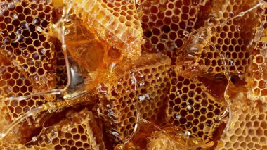 Gerçekçi arı ağdası. Sıvı bal sıçratan taraklar, yakın plan yiyecek arka planı.