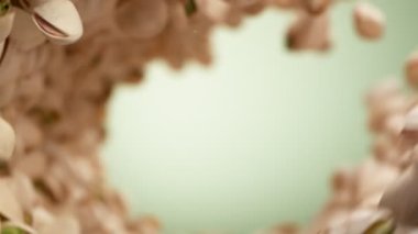 Dönüşümlü hareket halinde uçan fıstıkların süper yavaş çekimi. Yüksek hızlı sinema kamerası, 1000fps.