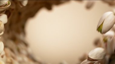 Dönüşümlü hareket halinde uçan fıstıkların süper yavaş çekimi. Yüksek hızlı sinema kamerası, 1000fps.