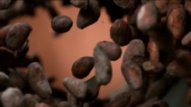 Dönüşümlü uçuşan kakao çekirdekleri çok yavaş hareket ediyor. Yüksek hızlı sinema kamerası, 1000fps.