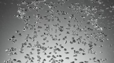 Kaynayan suyun çok yavaş hareket etmesi. Yüksek hızlı sinema kamerası, 1000 fps..