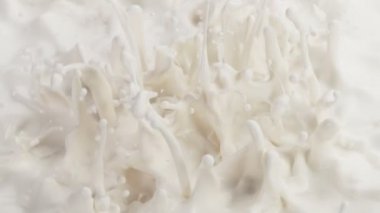 Makro çekimde süt sıvısı sallamak çok yavaş bir hareket. Yüksek hızlı sinema kamerası, 1000fps.