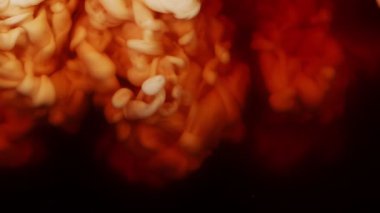 Kahve içeceğinin içine süt koymanın çok yavaş bir yolu. Yüksek hızlı sinema kamerası, 1000 fps..