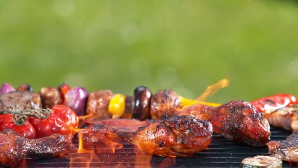 Gerakan Kaki Ayam Yang Sangat Lambat Dengan Api Rumput Latar — Stok Video