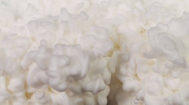 Sudaki beyaz mürekkep dokusu. Soyut süt ya da süt kreması içecekleri arka plan.