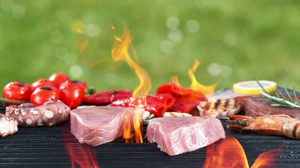 Gesorteerd Heerlijk Gegrild Visvlees Met Groenten Grillbarbecue Buiten Mix — Stockfoto