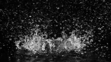 Siyah arka planda izole edilmiş çok yavaş su sıçratma hareketi. Yüksek hızlı sinema kamerası, 1000 fps..