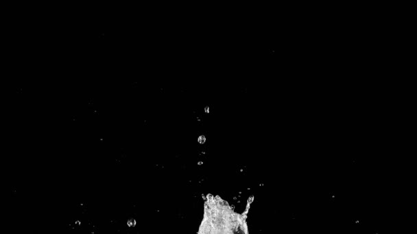 超慢运动的溅水隔绝在黑色的背景上 用高速摄像机拍摄 每秒1000帧 — 图库视频影像