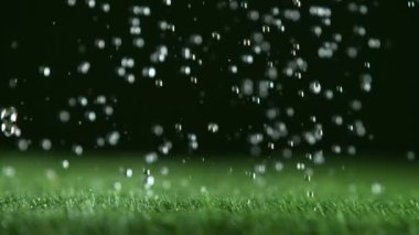 Yeşil çimlere düşen su damlalarının süper yavaş çekimi, makro çekim. Yüksek hızlı sinema kamerası, 1000fps.