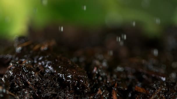 Sulama Substratının Süper Yavaş Çekimi Bahçıvanlık Kavramı Yüksek Hızlı Sinema — Stok video