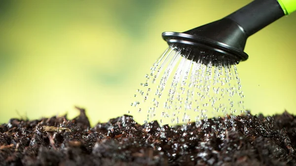 浇水可以浇灌在土壤上 园艺和植物生长的概念 — 图库照片