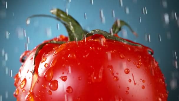 Super Cámara Lenta Tomate Con Gotas Agua Goteando Filmado Cámara — Vídeos de Stock