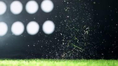 Çimlere düşen futbol topunun süper yavaş çekimi. Hız rampası etkisi. Yüksek hızlı sinema kamerası, 1000fps.