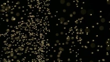 Siyah arka planda şampanya kabarcıklarının süper yavaş akımı. Yüksek hızlı sinema kamerası, 1000 fps.