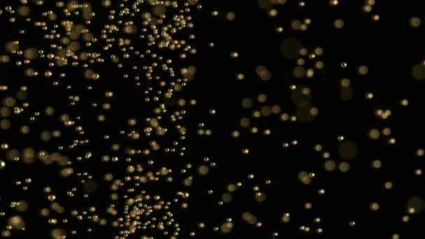 Super Slow Motion Van Champagne Bubbels Textuur Zwarte Achtergrond Gefilmd — Stockvideo