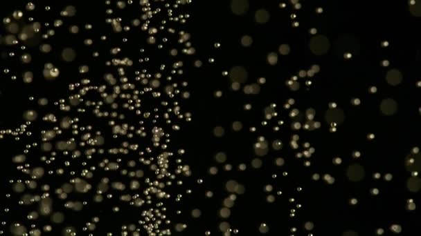 Super Slow Motion Van Champagne Bubbels Textuur Zwarte Achtergrond Gefilmd — Stockvideo