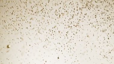 Şampanya kabarcıkları dokusunun süper yavaş çekimi. Yüksek hızlı sinema kamerası, 1000 fps.