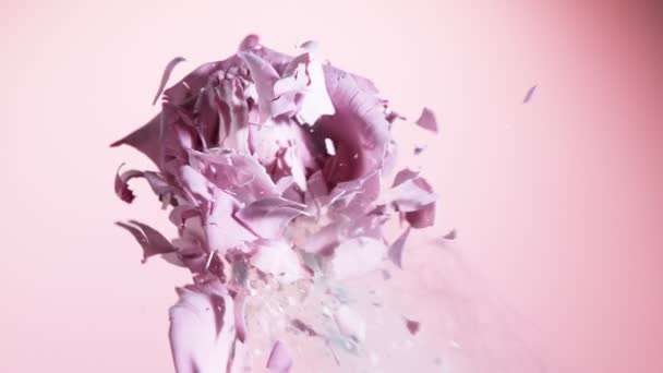 Super Langsom Bevegelse Eksploderende Hode Rosa Rose Frosset Flytende Nitrogen – stockvideo