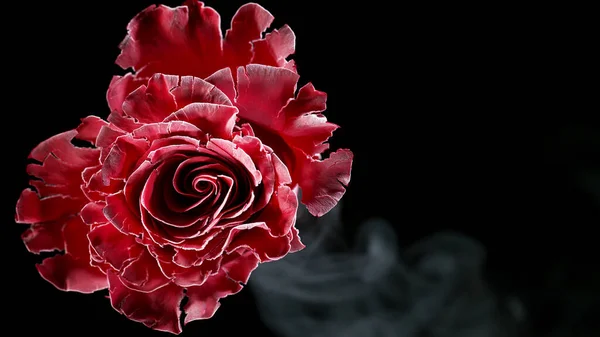 Izolovaný Mráz Rozkvétá Černém Pozadí Rose Byla Zmražena Tekutým Dusíkem — Stock fotografie