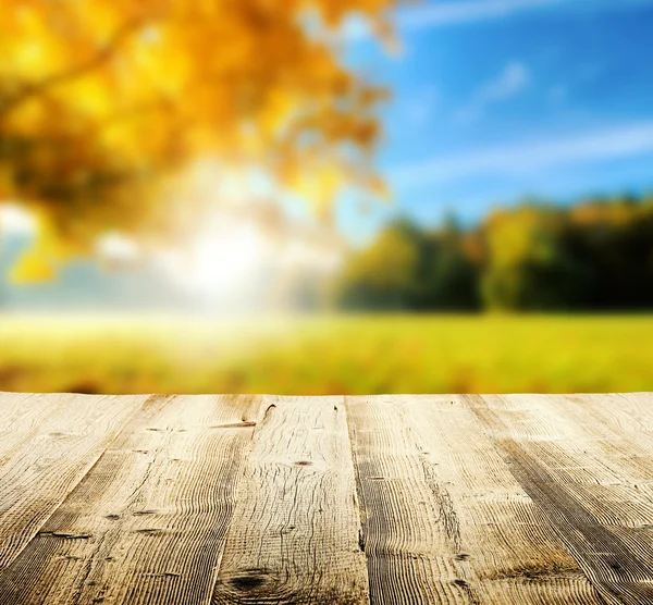 Herbst Hintergrund mit Holzplanken — Stockfoto