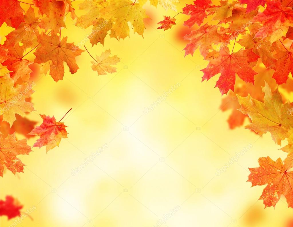 Autumn leaves background with free space for text Stock Photo by ©jag_cz  51808561