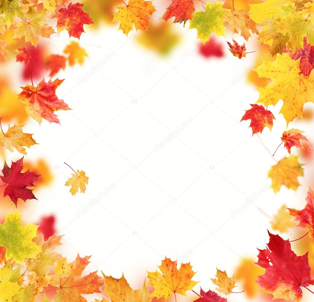 Autumn leaves isolated on white background