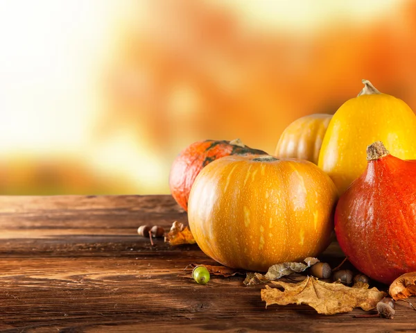 Autumn colored pumpkins on wooden table — Stock Photo, Image