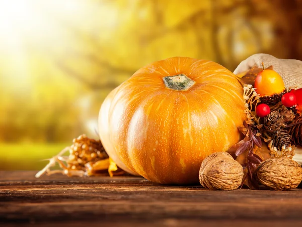 Güz pumpkins ahşap masa üzerinde renkli — Stok fotoğraf