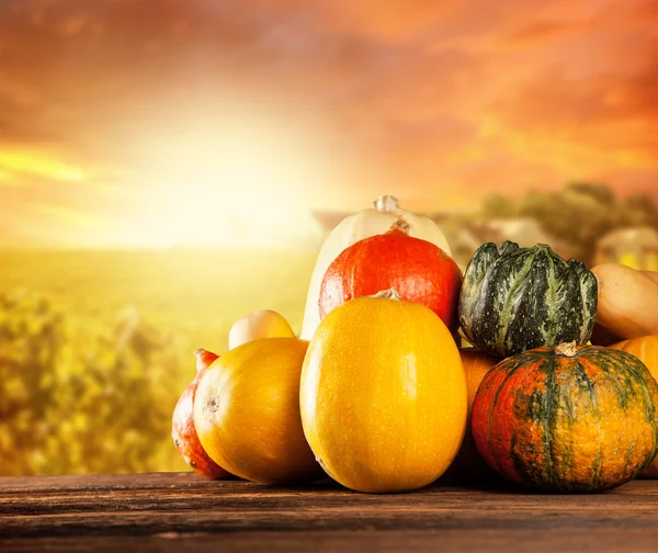 Autumn colored pumpkins on wooden table — Stock Photo, Image