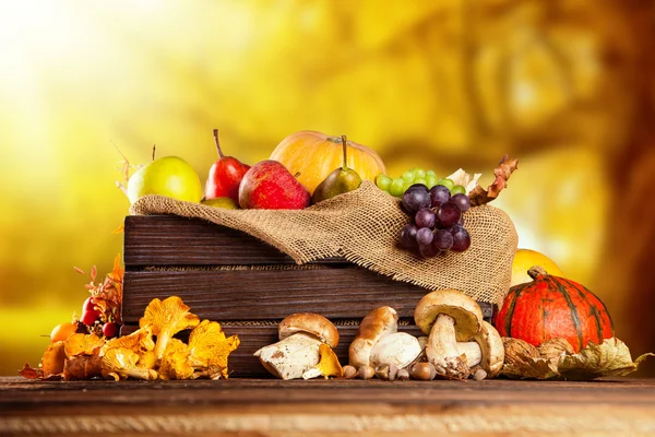 Autumn fruit and vegetable in wooden box — Stock Photo, Image