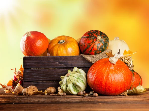 Autumn colored pumpkins in wooden box — Stock Photo, Image