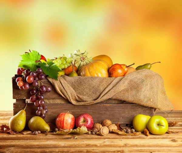 Calabazas de color otoño en caja de madera —  Fotos de Stock