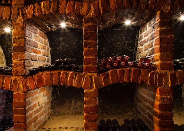 Vinný sklep s mnoha druhy lahví — Stock fotografie
