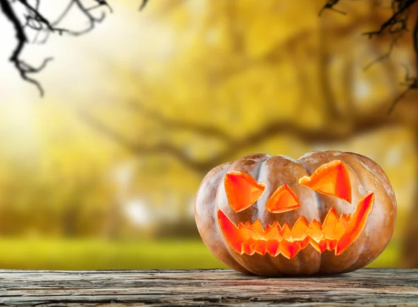 Abóbora hallowen assustador na madeira — Fotografia de Stock