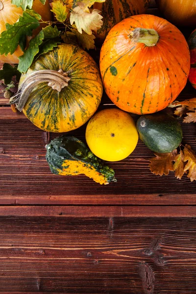 Calabazas de otoño sobre tablones de madera — Foto de Stock