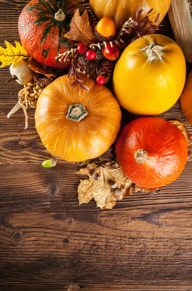 Calabazas de otoño sobre tablones de madera — Foto de Stock