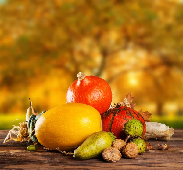 Citrouilles d'automne sur bois — Photo