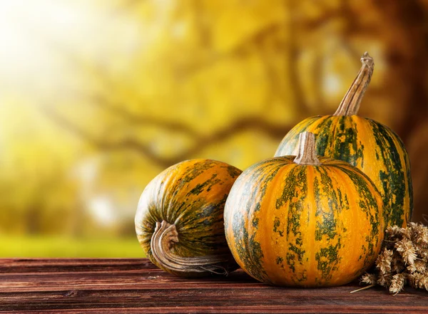 Autumn pumpkins on wood — Stock Photo, Image