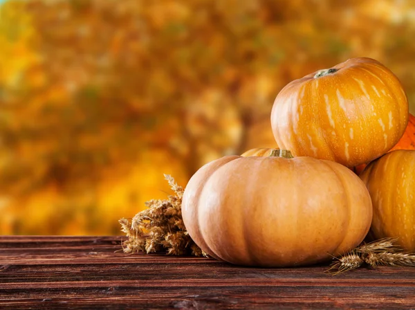 Zucche di autunno su legno — Foto Stock