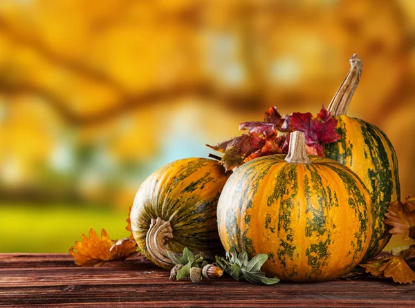 Calabazas de otoño sobre madera — Foto de Stock