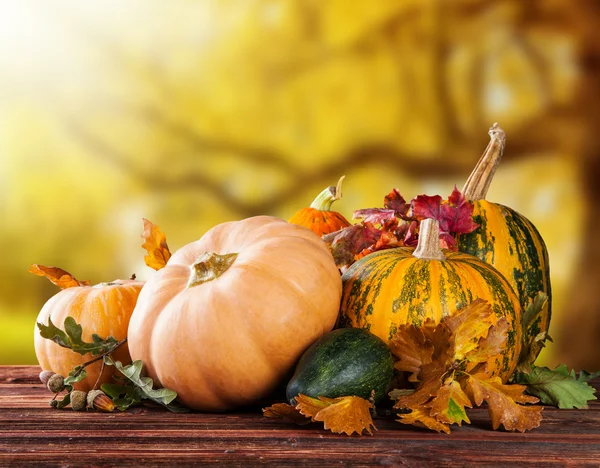 Autumn pumpkins on wood — Stock Photo, Image