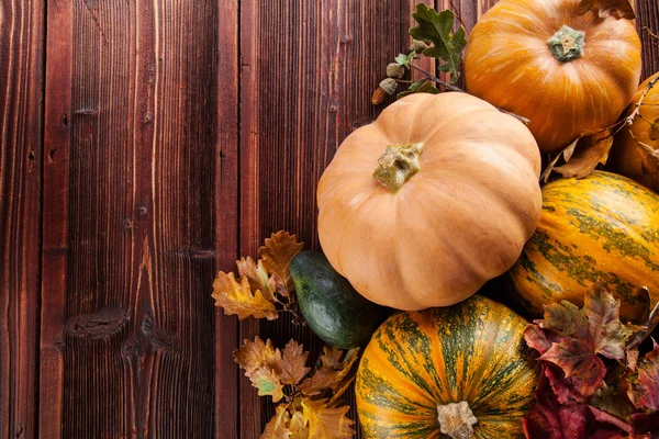 Autumn pumpkins on wooden planks — Stock Photo, Image