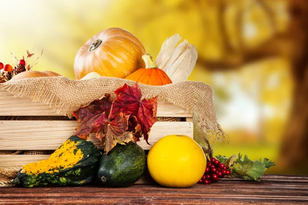 Autumn agriculture products on wood — Stock Photo, Image