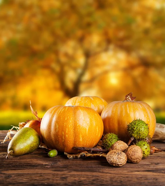 Calabazas hallowen miedo en la madera —  Fotos de Stock