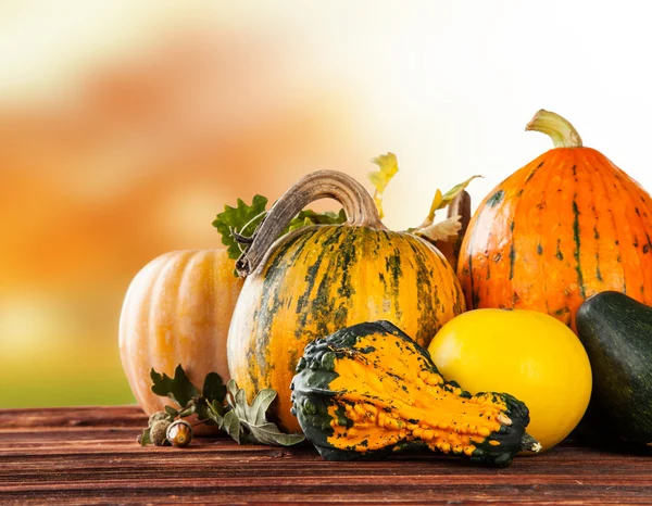 Autumn pumpkins on wood — Stock Photo, Image