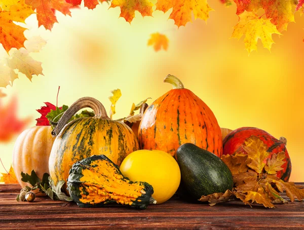 Güz pumpkins ahşap masa üzerinde renkli — Stok fotoğraf