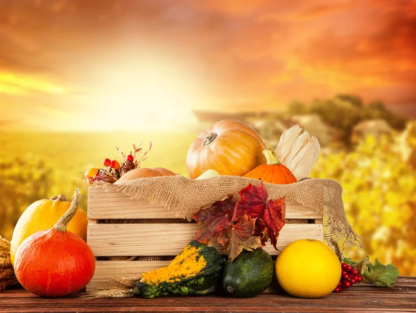 Autumn fruit and vegetable in wooden box — Stock Photo, Image